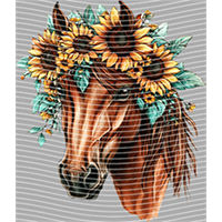 Country music-CU 1151